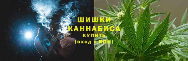 молекула духа Заволжье