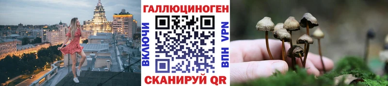 где купить наркоту  Копейск  Галлюциногенные грибы Magic Shrooms 
